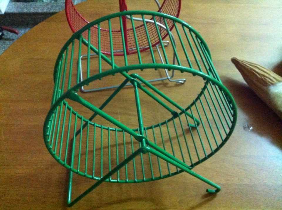 Exercise wheel for rats